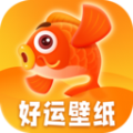 好运壁纸新版