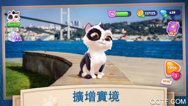 我的可爱猫咪最新版截图1