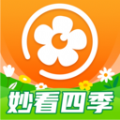 妙看四季安卓版