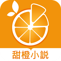 甜橙小說正版