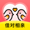 佳对视频相亲经典版