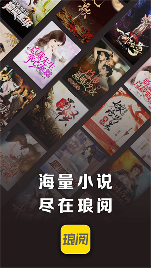 琅阅小说完整版截图1