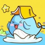 鲸鱼英语安卓版